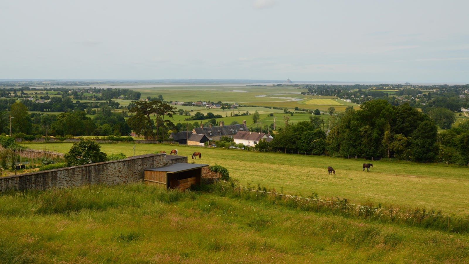 Lush green Normandy landscape with horses grazing in Avranches