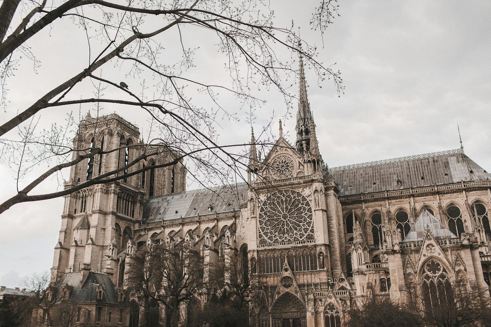 Notre-Dame Cathedral gothic architecture exterior view in Paris
