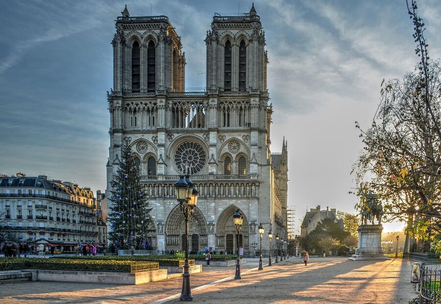Notre Dame Cathedral in morning light with Christmas tree