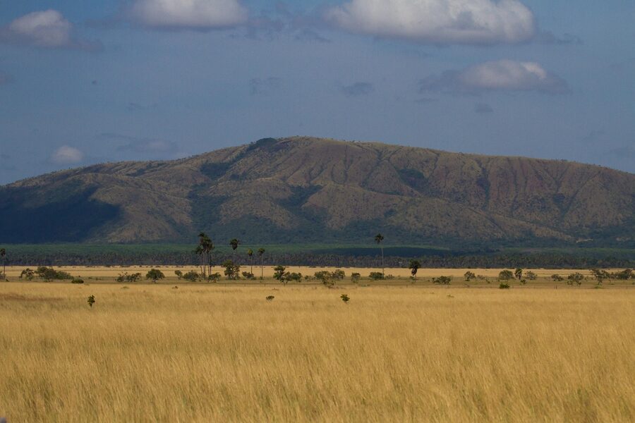 Roraima Brazil savannah Amazon forest