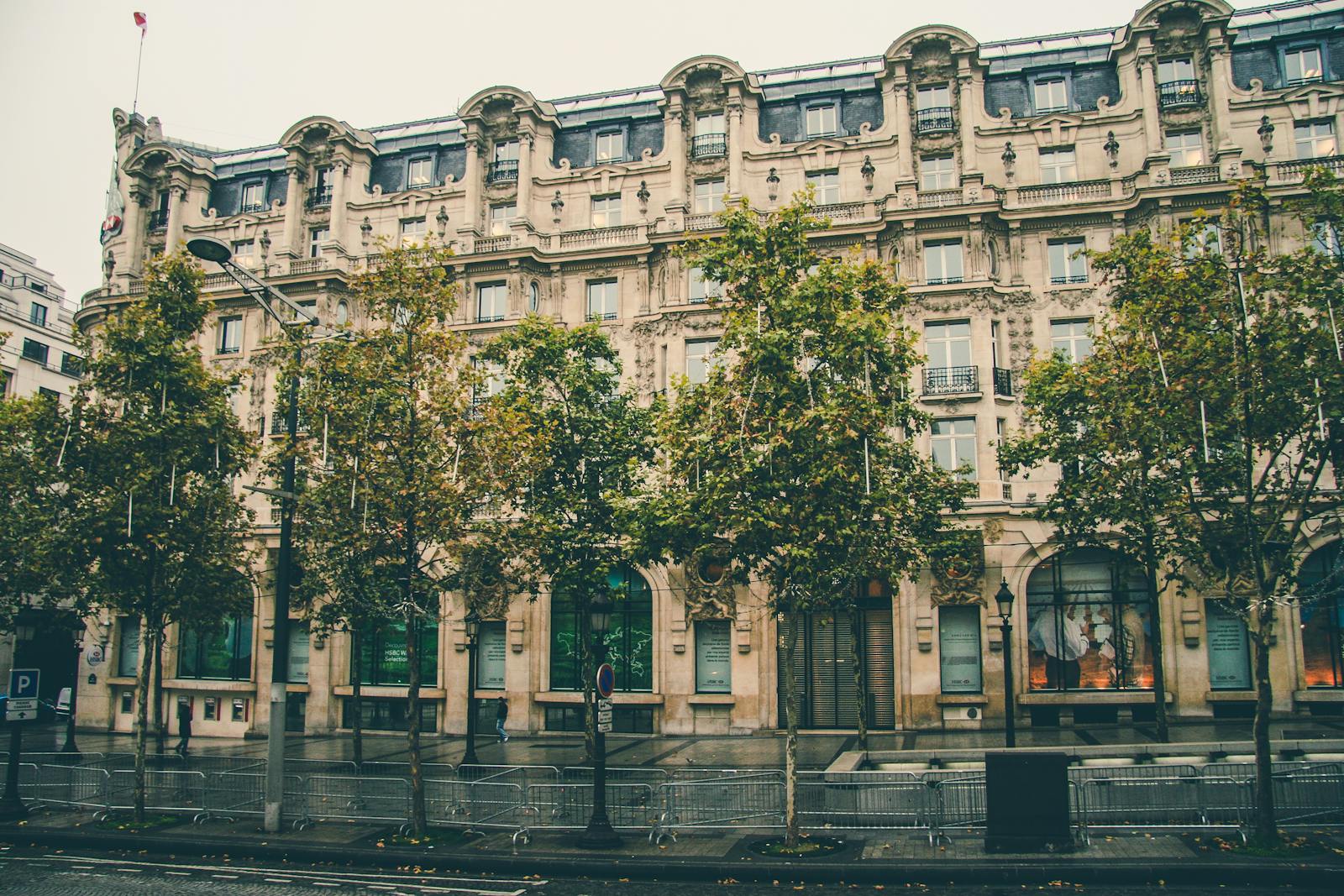 Tree-lined facade on a classic Paris 14th arrondissement street