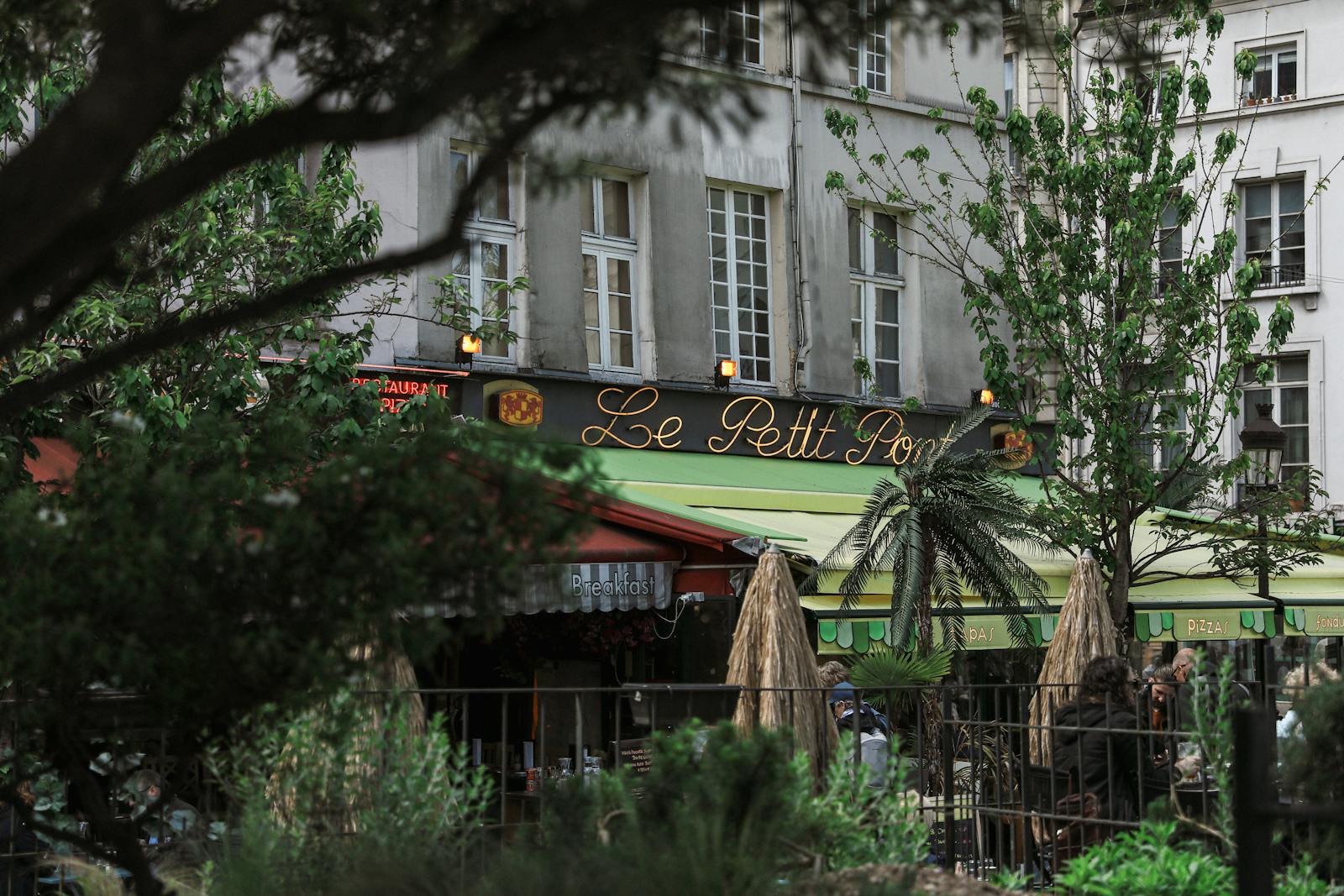 A cozy Parisian cafe in the Latin Quarter with greenery creating an urban retreat