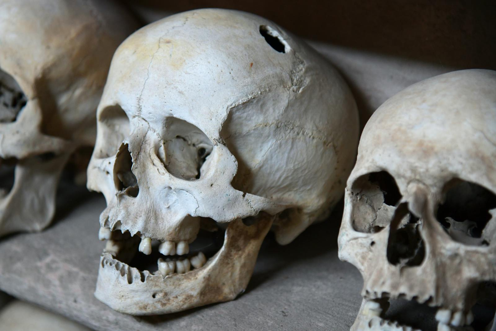 Haunting arrangement of human skulls in the Paris Catacombs tunnels