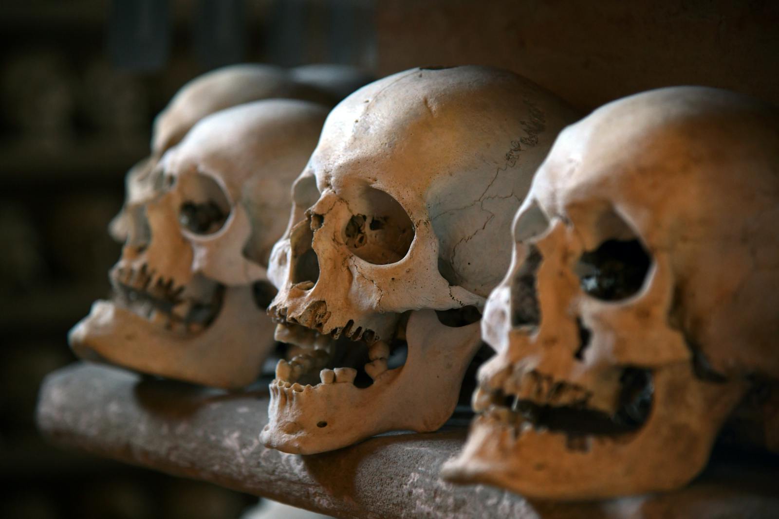 Rows of skulls lined up in an eerie Paris Catacombs ossuary chamber