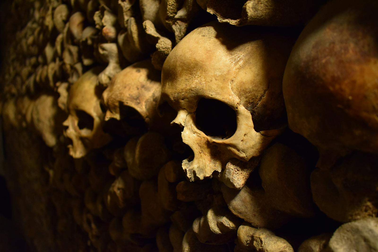 Close-up of skulls in the Paris Catacombs creating an eerie atmosphere