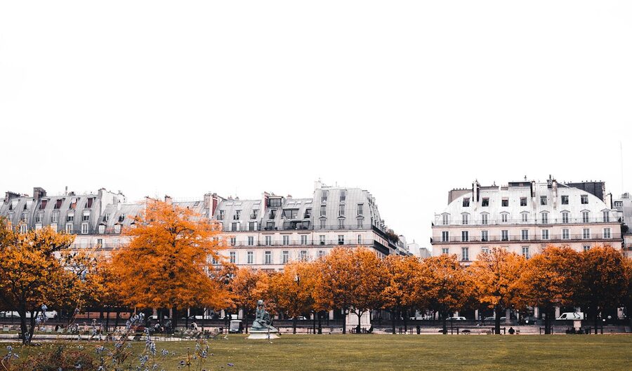 Historic Paris architecture with golden autumn trees