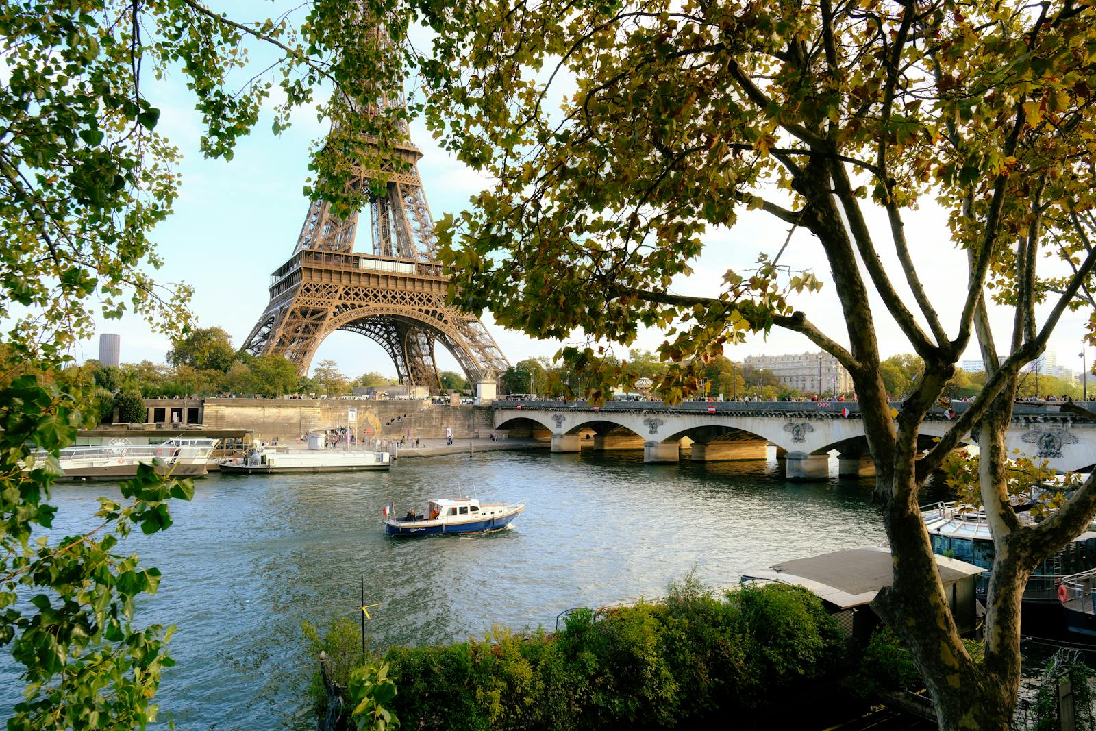 Eiffel Tower rising above the Seine River framed by lush trees in Paris