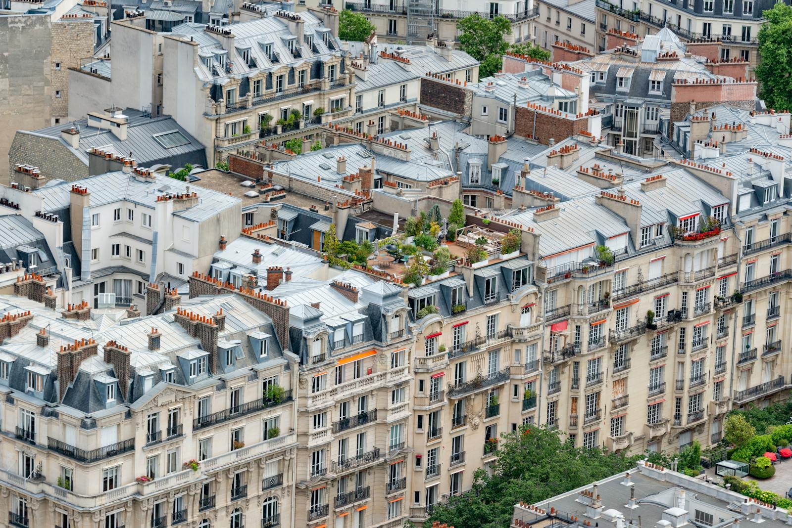 Aerial view of iconic Parisian rooftops showcasing classic Haussmann architecture