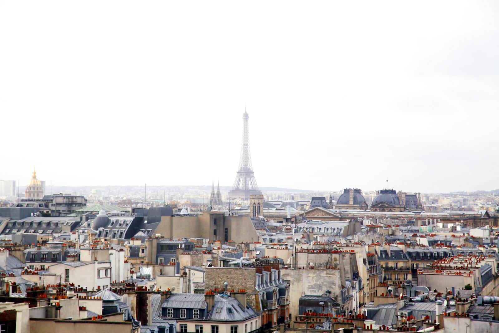 Panoramic view of Paris rooftops with the Eiffel Tower standing prominently in the background