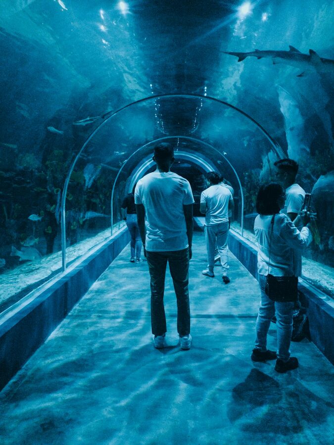 People walking through an aquarium tunnel with sharks swimming above