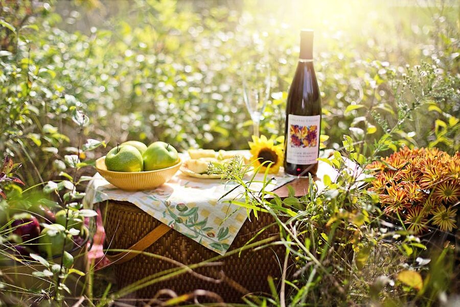 Picnic with wine fruits and sunflowers