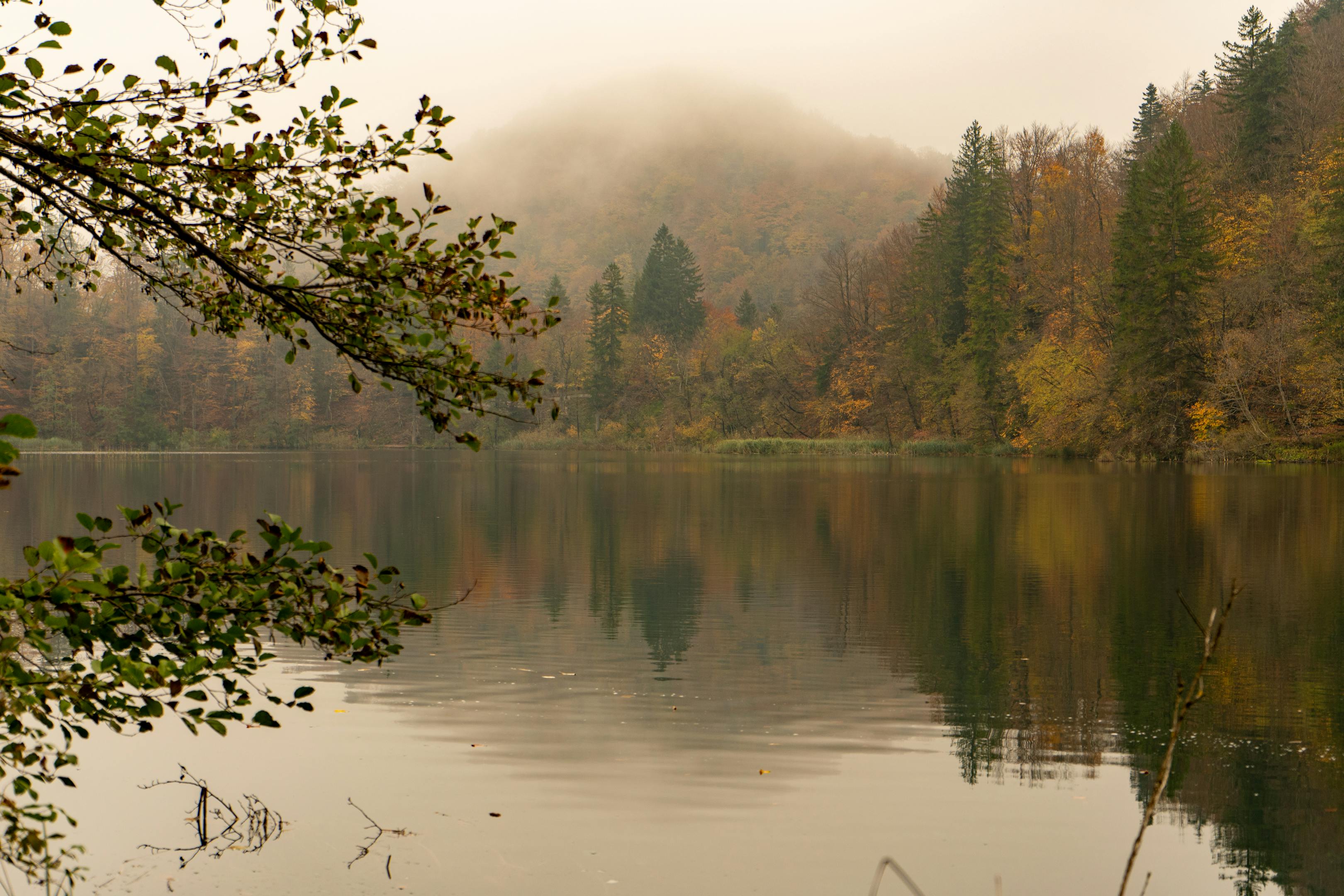 Serene view of misty autumn foliage reflecting on a lake at Plitvice Lakes