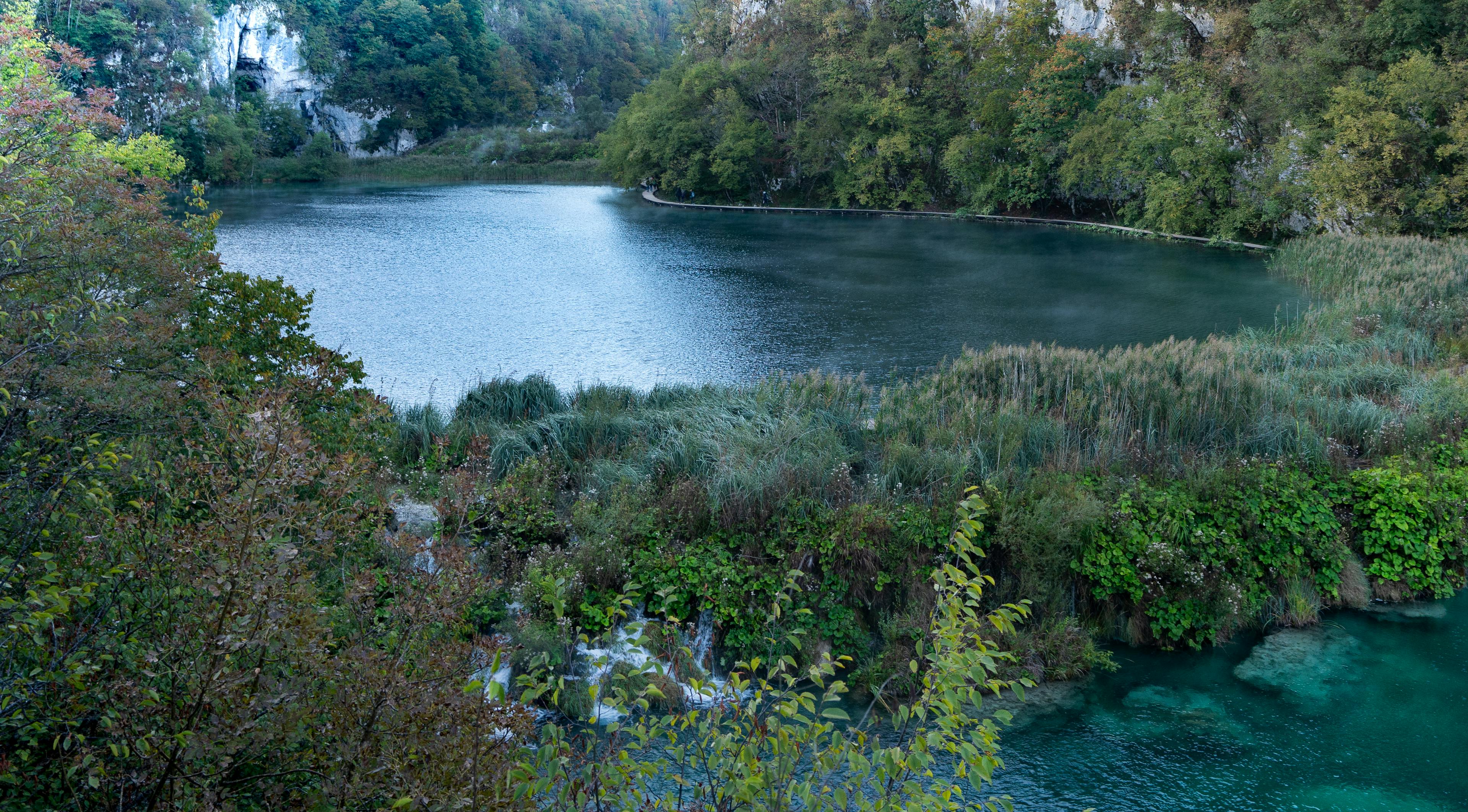 Tranquil view of a lake surrounded by lush greenery in Plitvice Lakes National Park