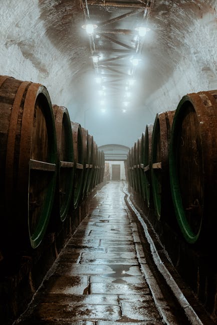 Wine bottles aging in a cellar