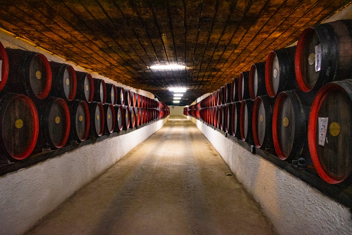 Long corridor of wine barrels in a traditional port wine cellar
