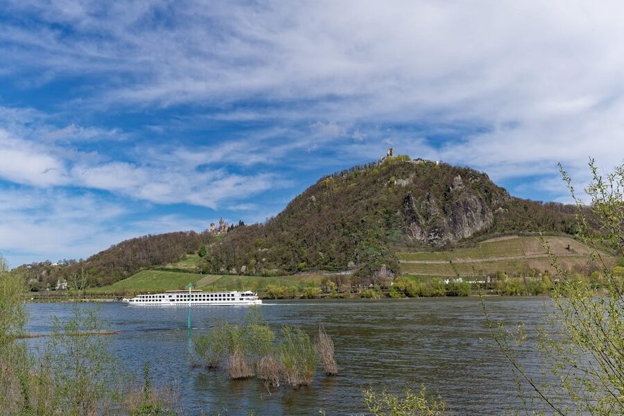 Rhine Valley scenic boat cruise