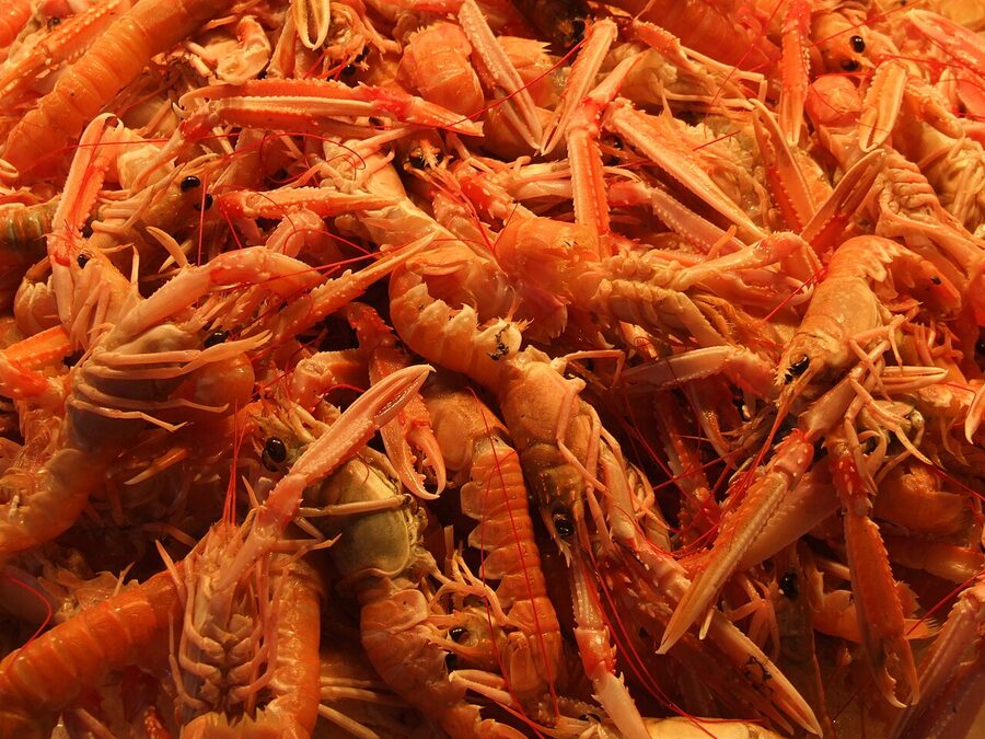 Rialto market stalls with fresh produce in Venice
