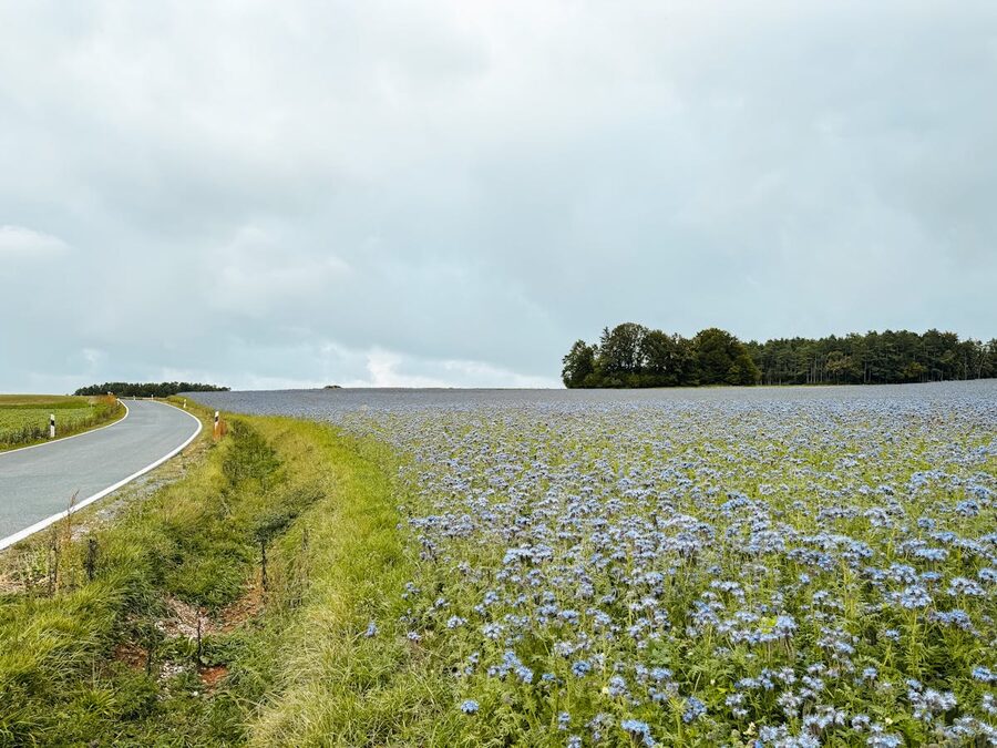 German countryside along the Romantic Road