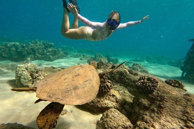 San Juan Guided Snorkel With Turtles Tour and Videos - Price and Value: Why $42.30 Can Be a Good Deal