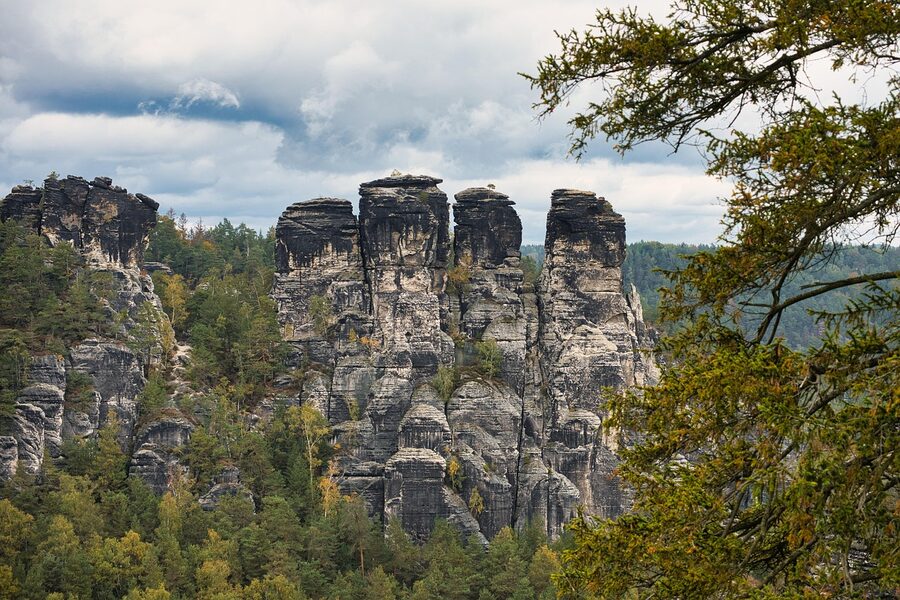 Sandstone rocks and forest in Saxon Switzerland