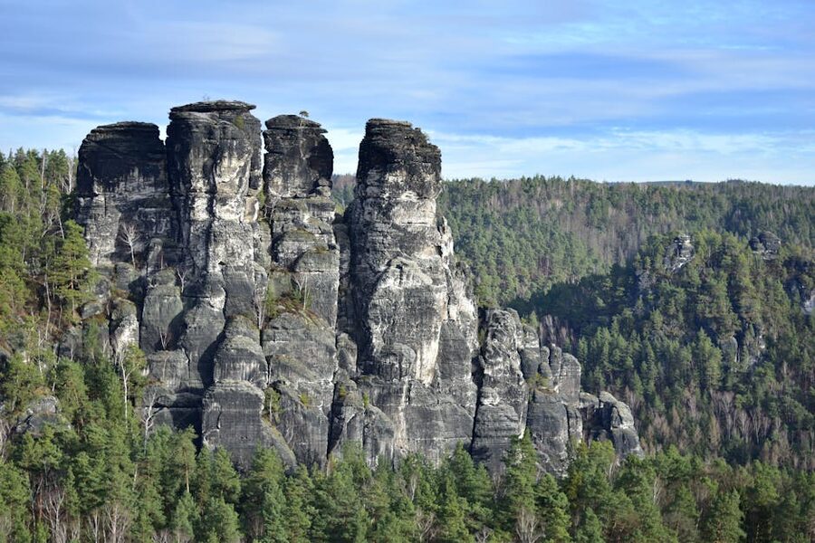 Rocky cliffs surrounded by dense forest in Saxon Switzerland