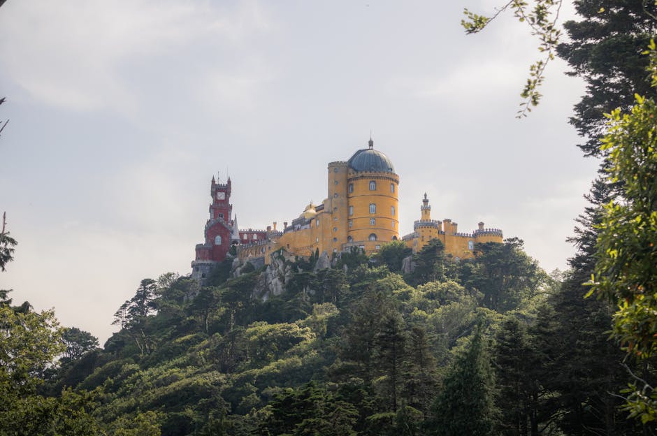Aerial view of Sintra palace surrounded by dense green forest