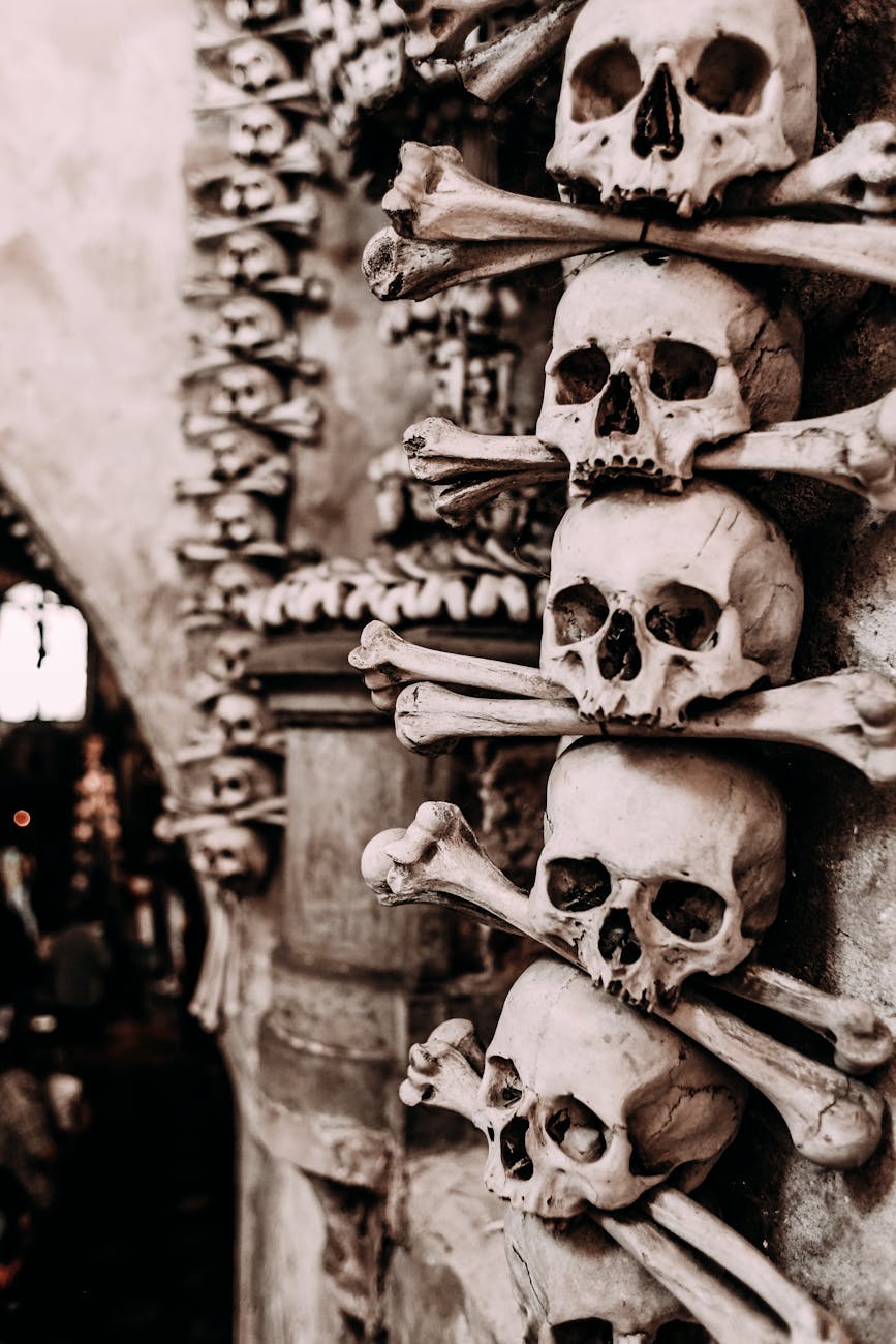 Skulls and bones in a Gothic atmospheric setting
