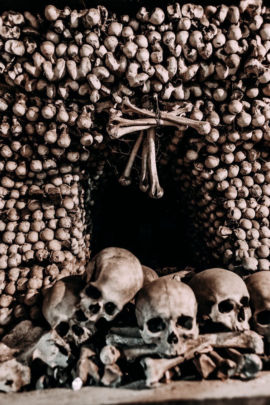 Skulls and bones forming wall decoration in a dimly lit crypt