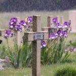 somme-military-cemetery-graves