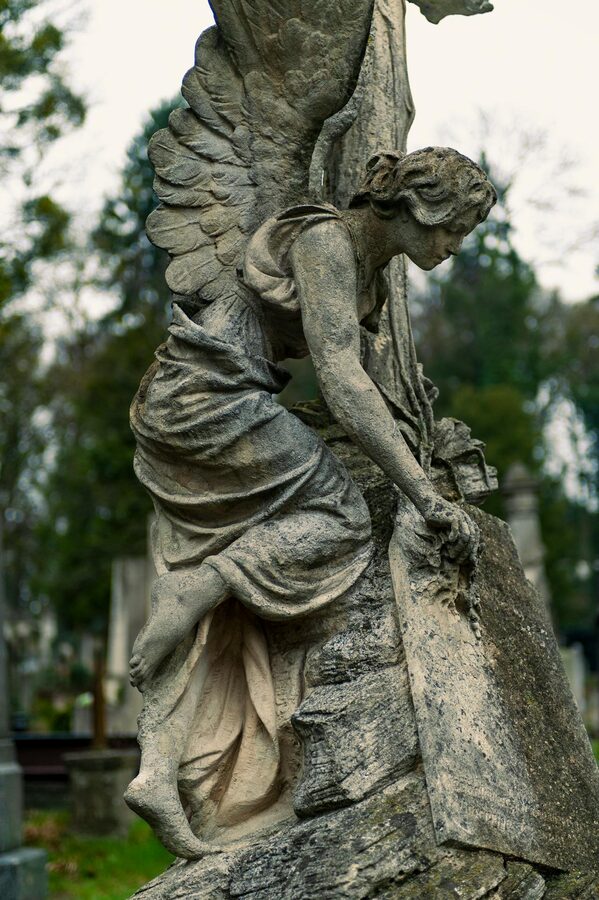 Stone angel statue in a cemetery setting with soft light