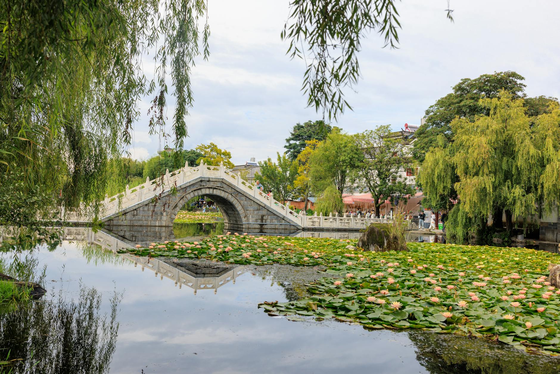 Stone bridge over pond with water lilies and reflection