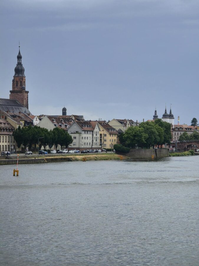 Strasbourg Grande Ile architecture from the river