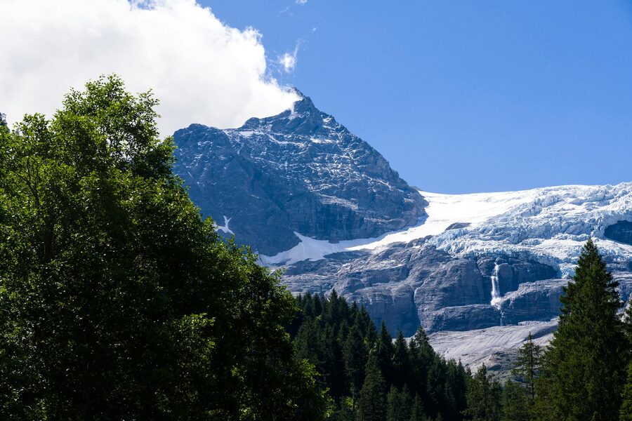 Swiss Alps with snow peaks and green forests