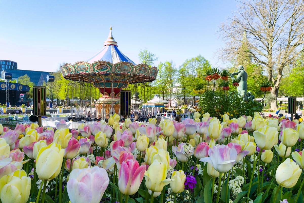 Tivoli Gardens in spring with blooming tulips and a vintage carousel