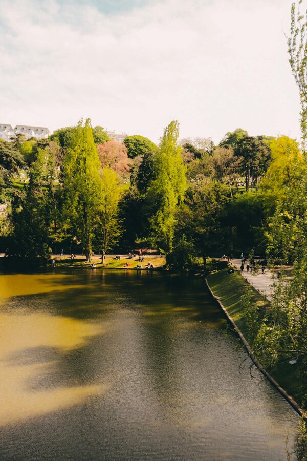 Tranquil park lake surrounded by trees in spring bloom