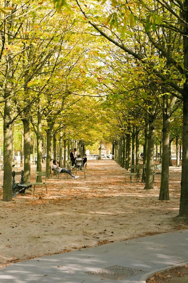 Tree-lined path in a Paris park during autumn with people walking