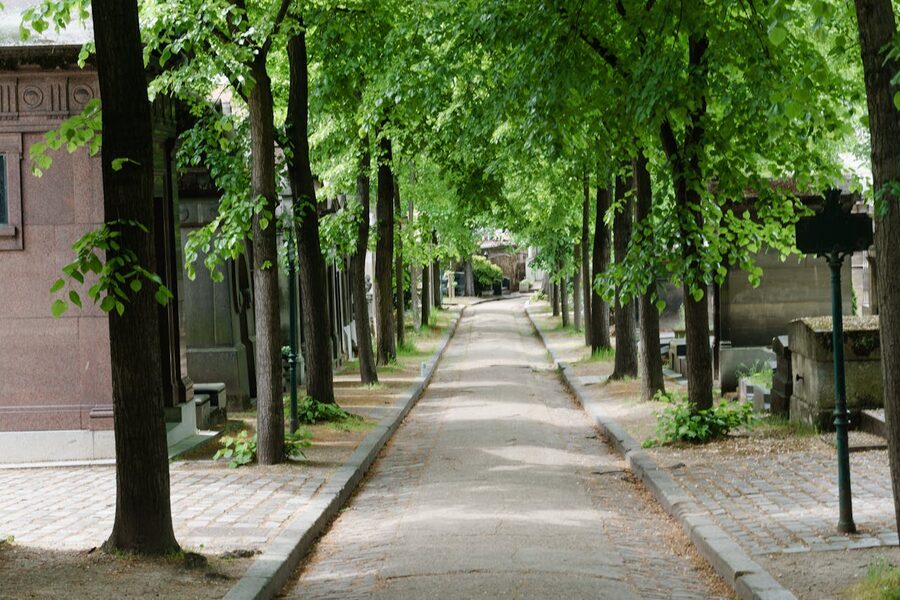 Peaceful tree-lined path through Pere Lachaise Cemetery Paris