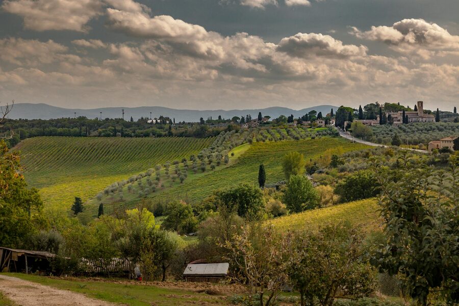 Tuscan hills with a village and vineyards
