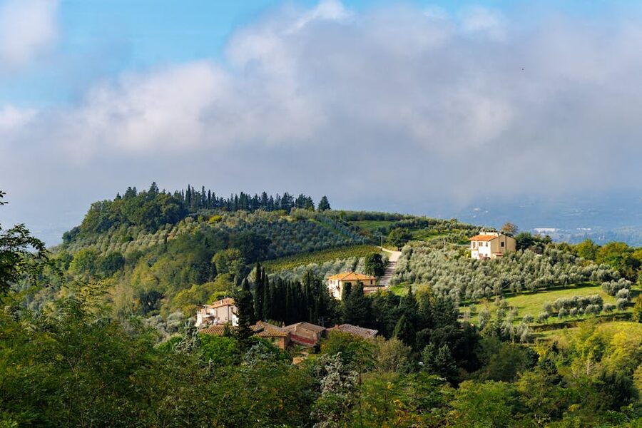 Tuscan hilltop vineyard landscape