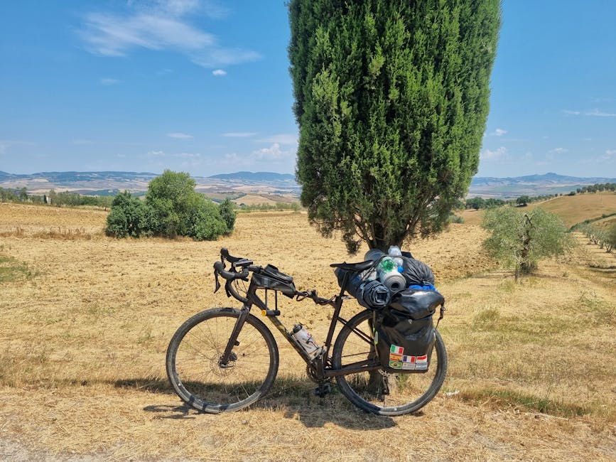 Bicycle resting under tree countryside