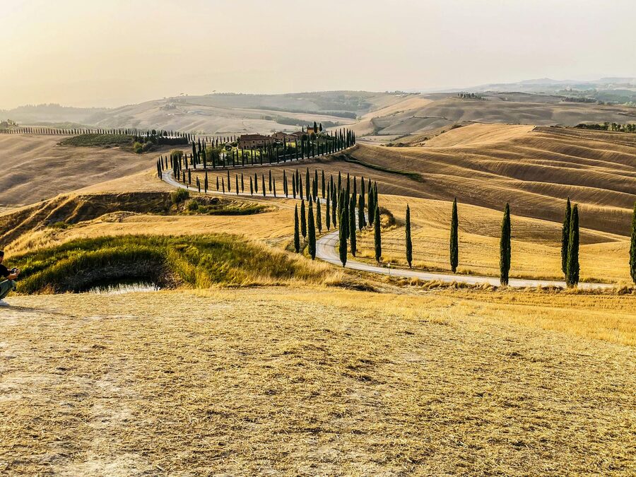 Tuscan road lined with cypress trees at sunset