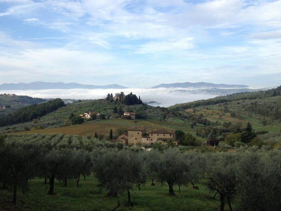 Tuscany olive groves and villas with rolling hills