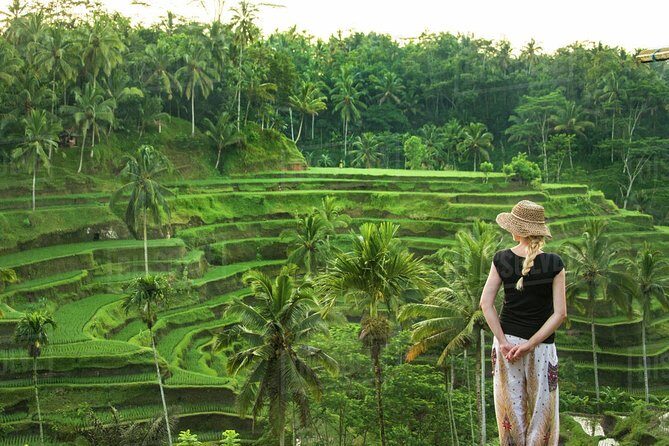 Ubud: Monkey Forest, Jungle Swing, Rice Terrace, and Water Temple - Tegenungan Waterfall: the viewpoint first, swimming only if conditions allow