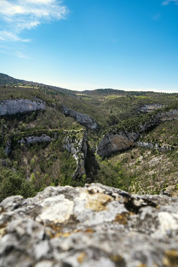 Tall rocky cliffs and green vegetation in the Verdon Gorge under blue sky