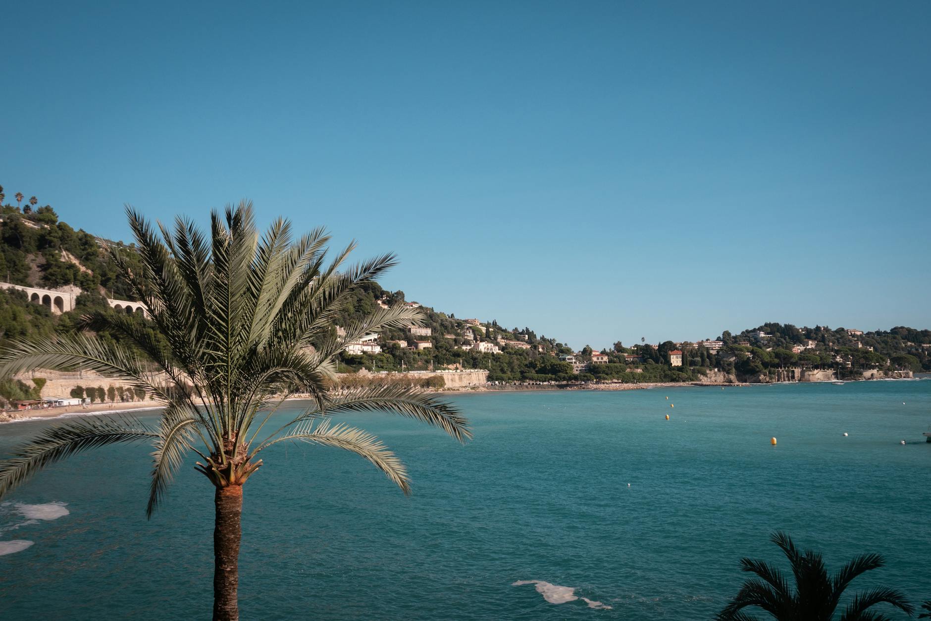 Villefranche-sur-Mer coastline with palm tree in the foreground on a sunny day