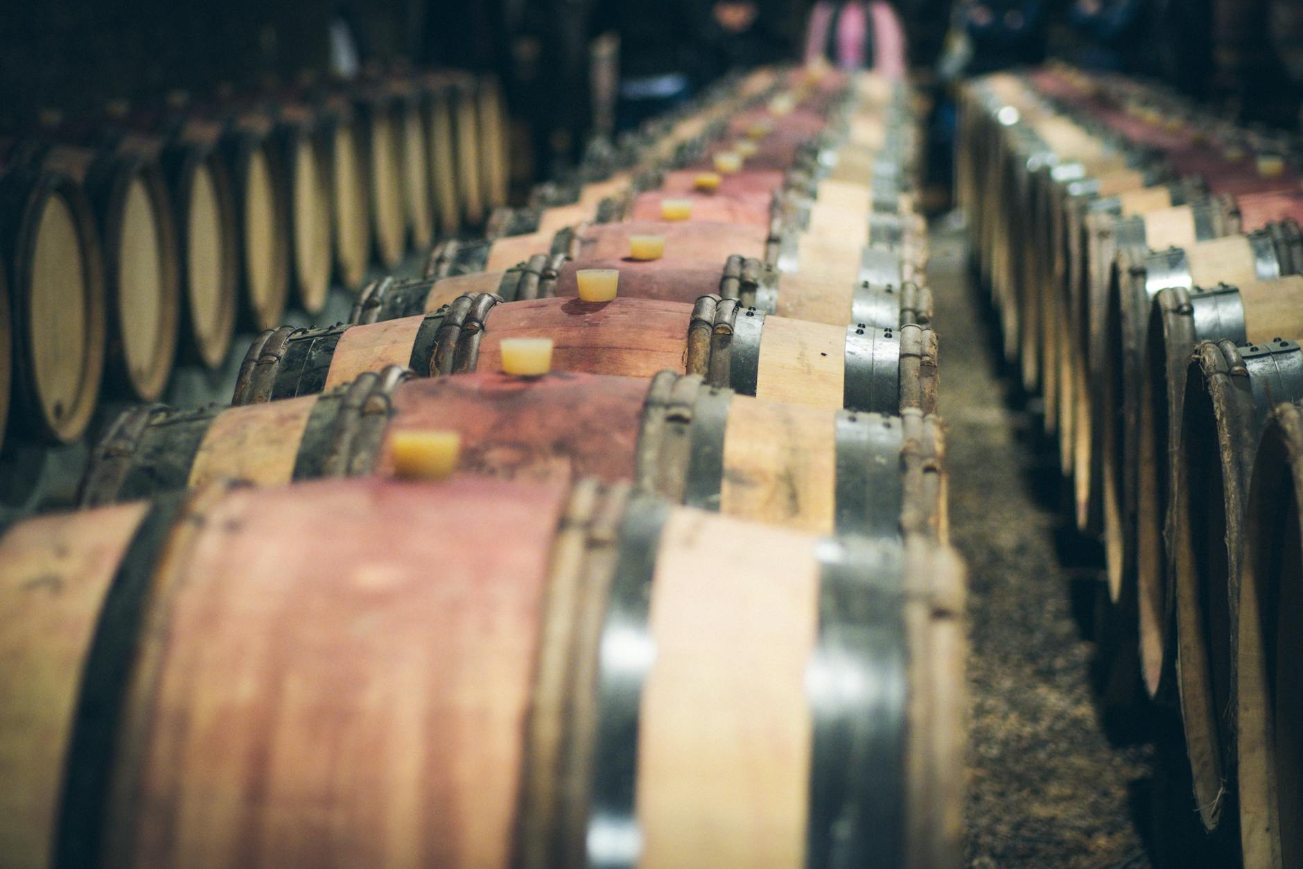 Wine barrels aging in a dim French cellar