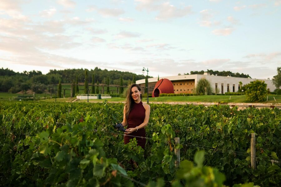 Woman standing amidst grapevines at sunrise