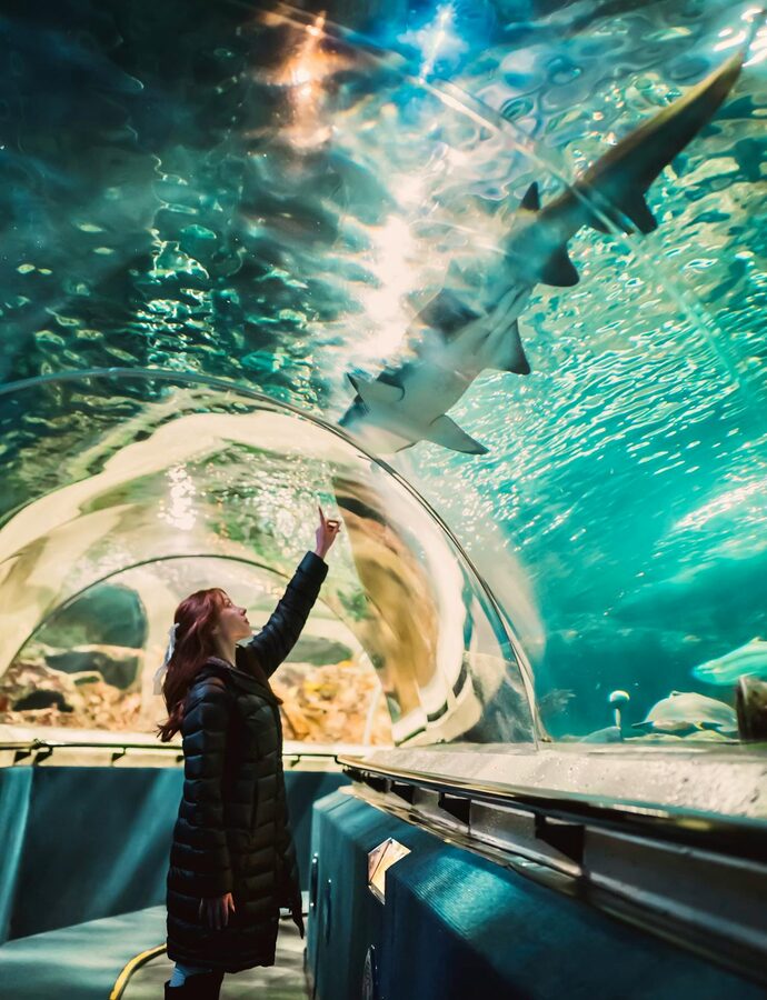 Woman watching a shark swim overhead in an aquarium tunnel